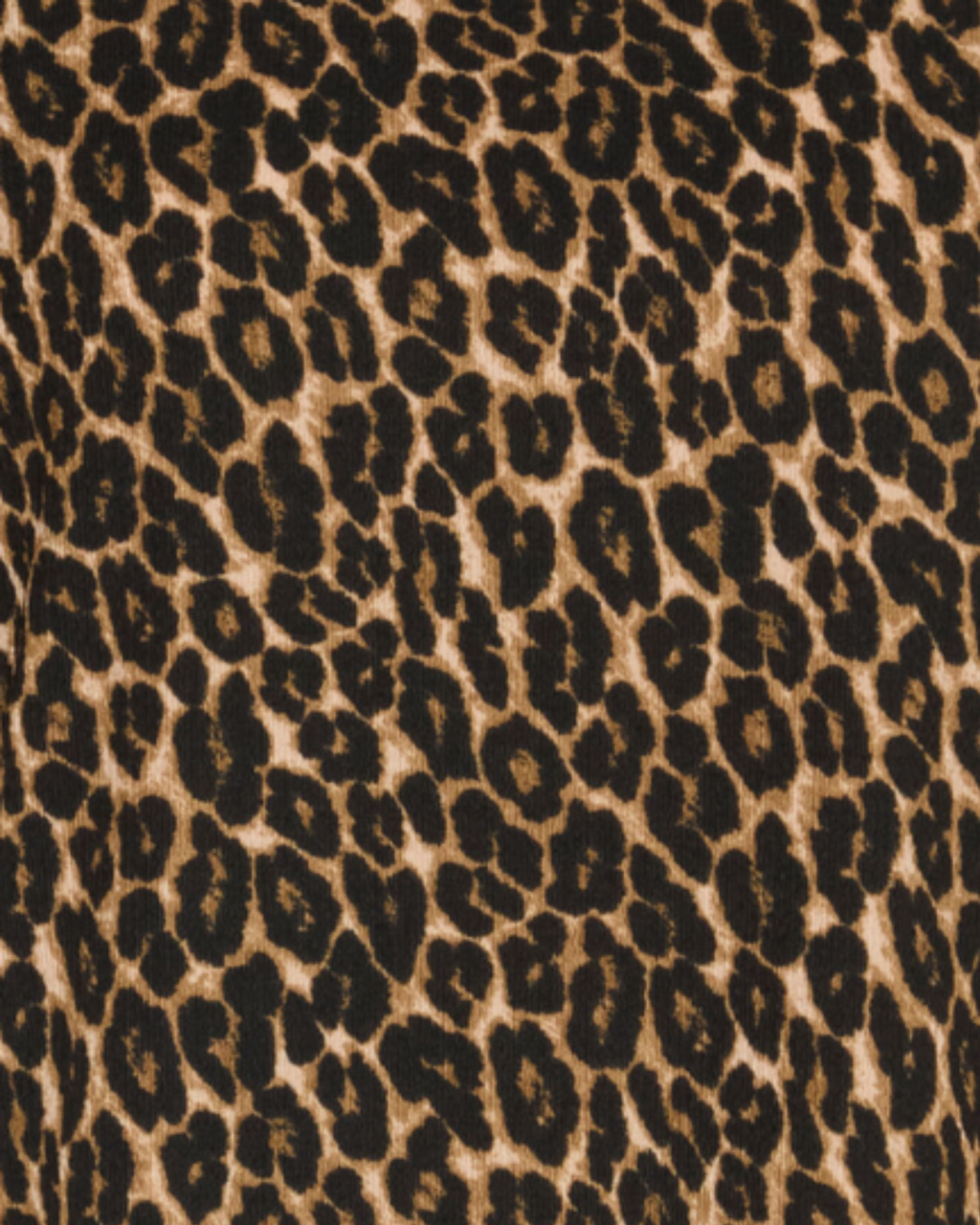 Topp Leopard
