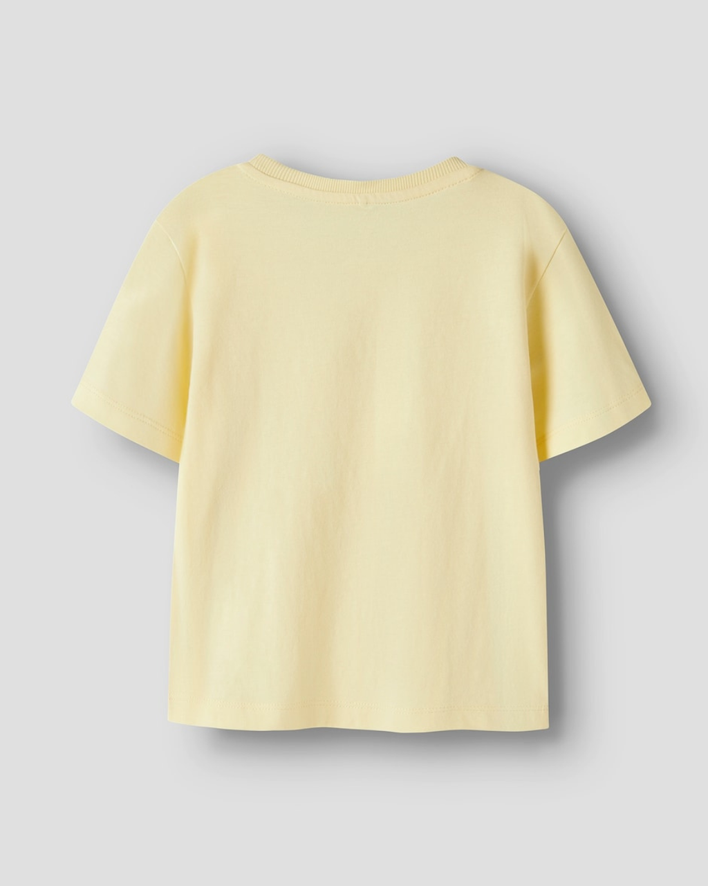 T-shirt Dinosaurie