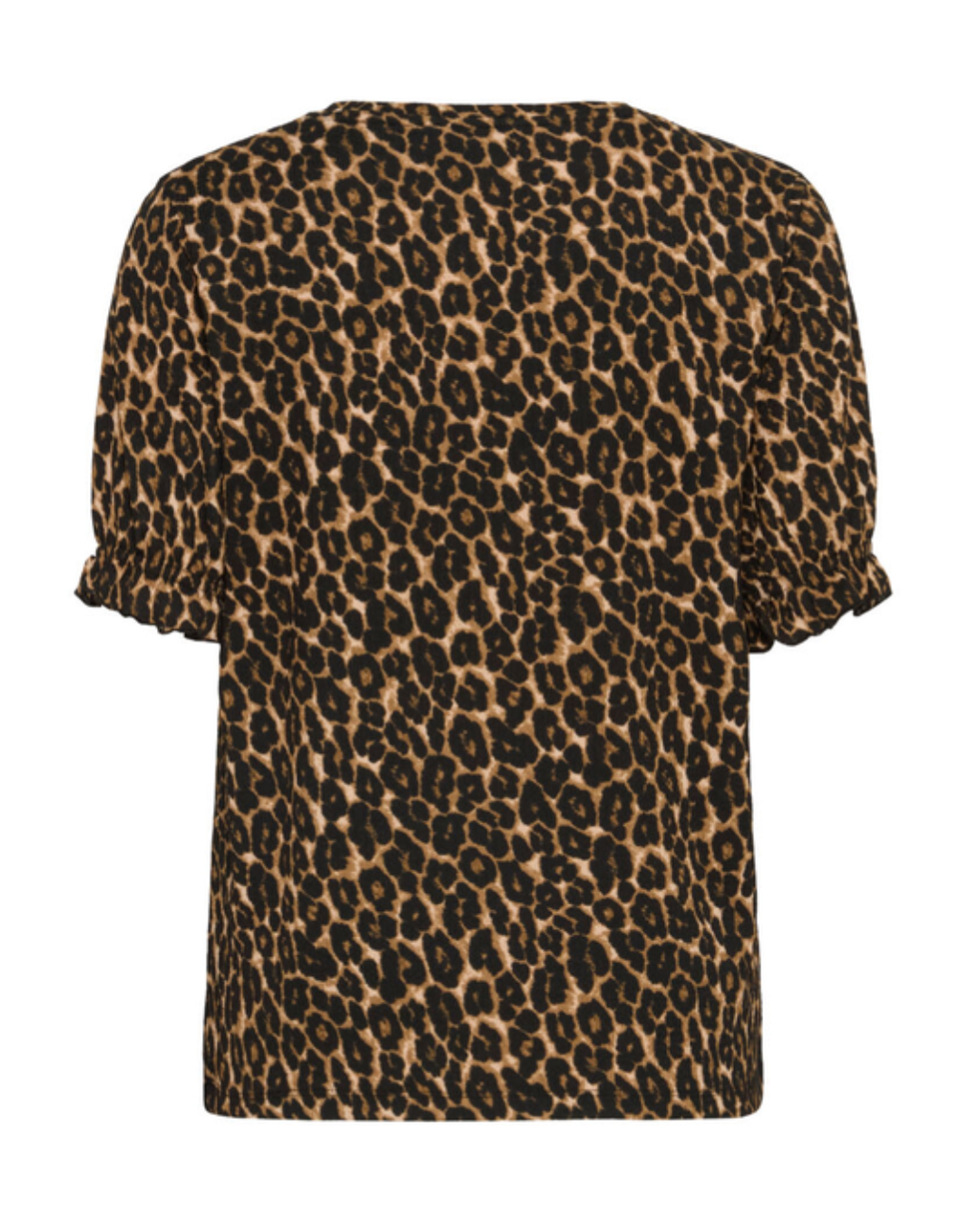 Topp Leopard