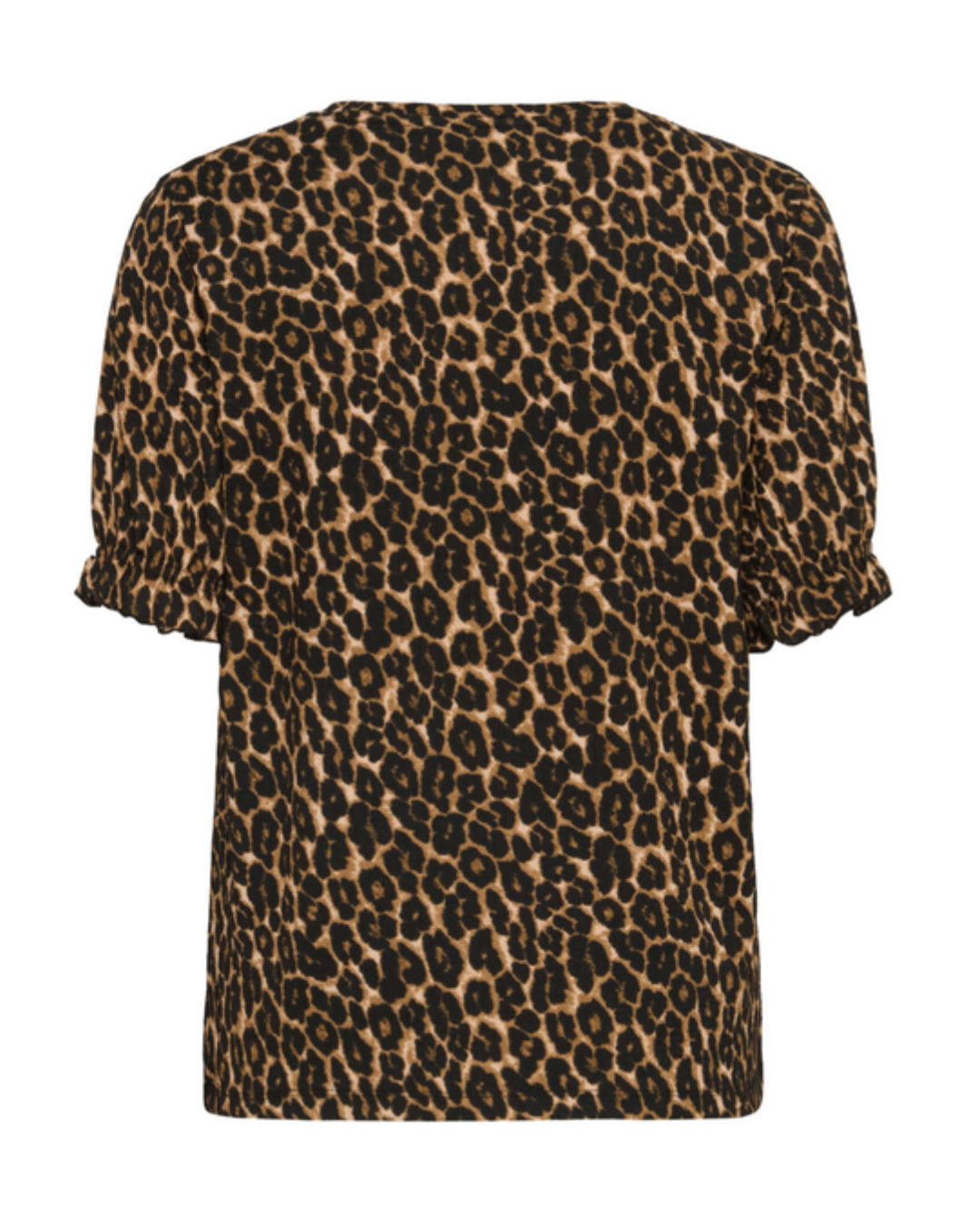 Topp Leopard
