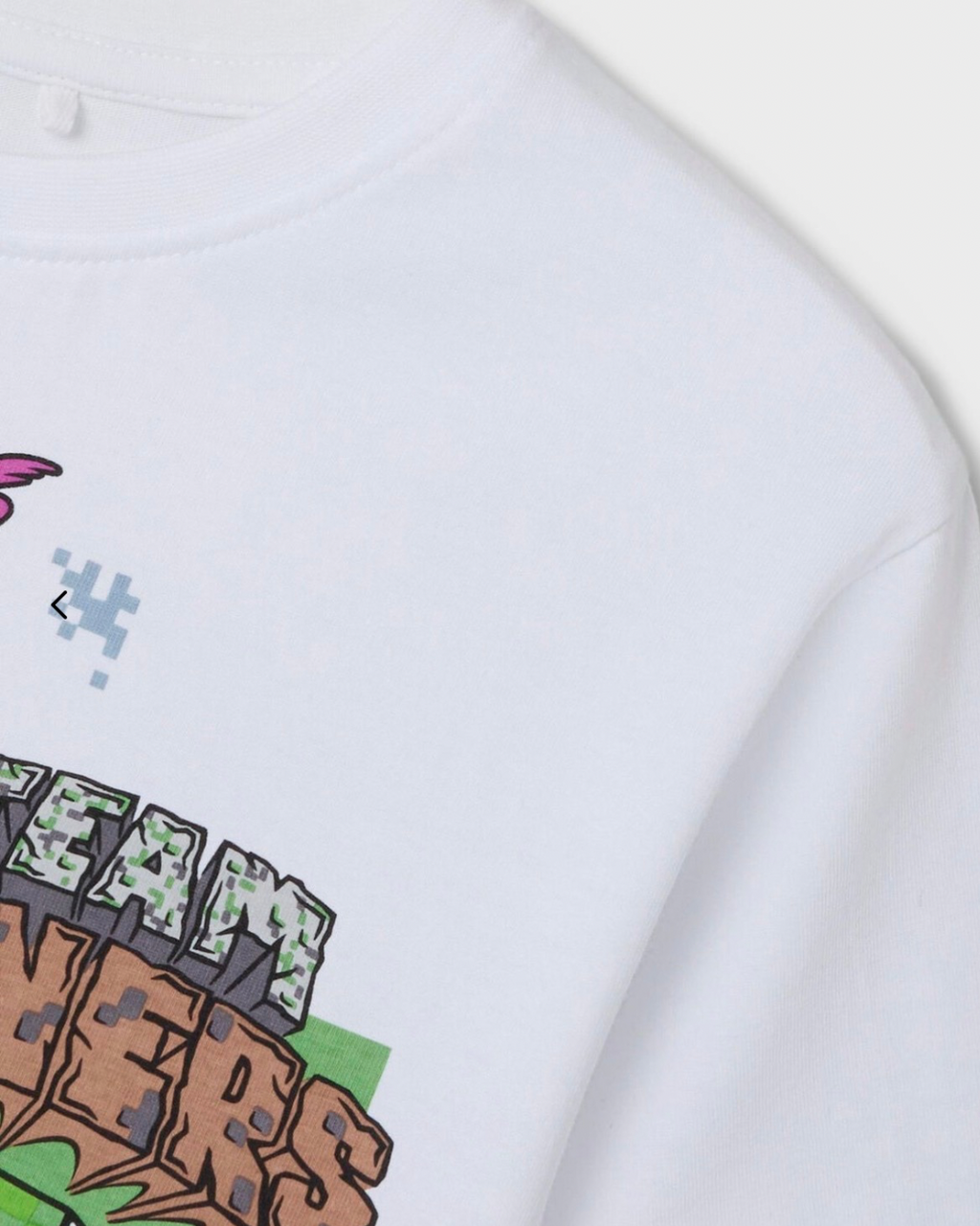 T-shirt Minecraft
