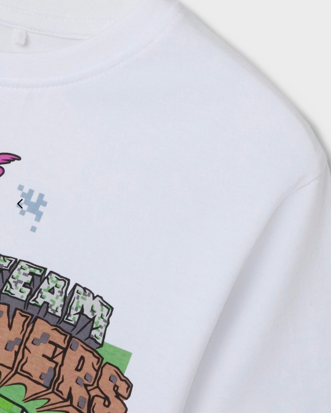 T-shirt Minecraft