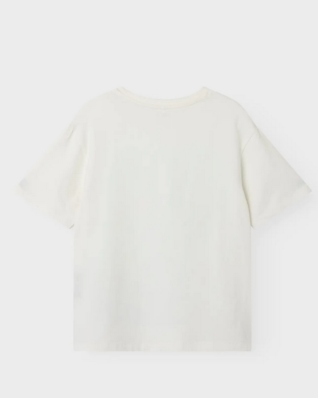 T-shirt Minecraft