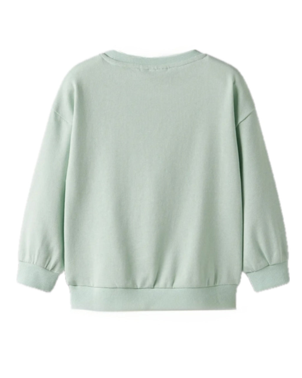 Sweatshirt igelkott