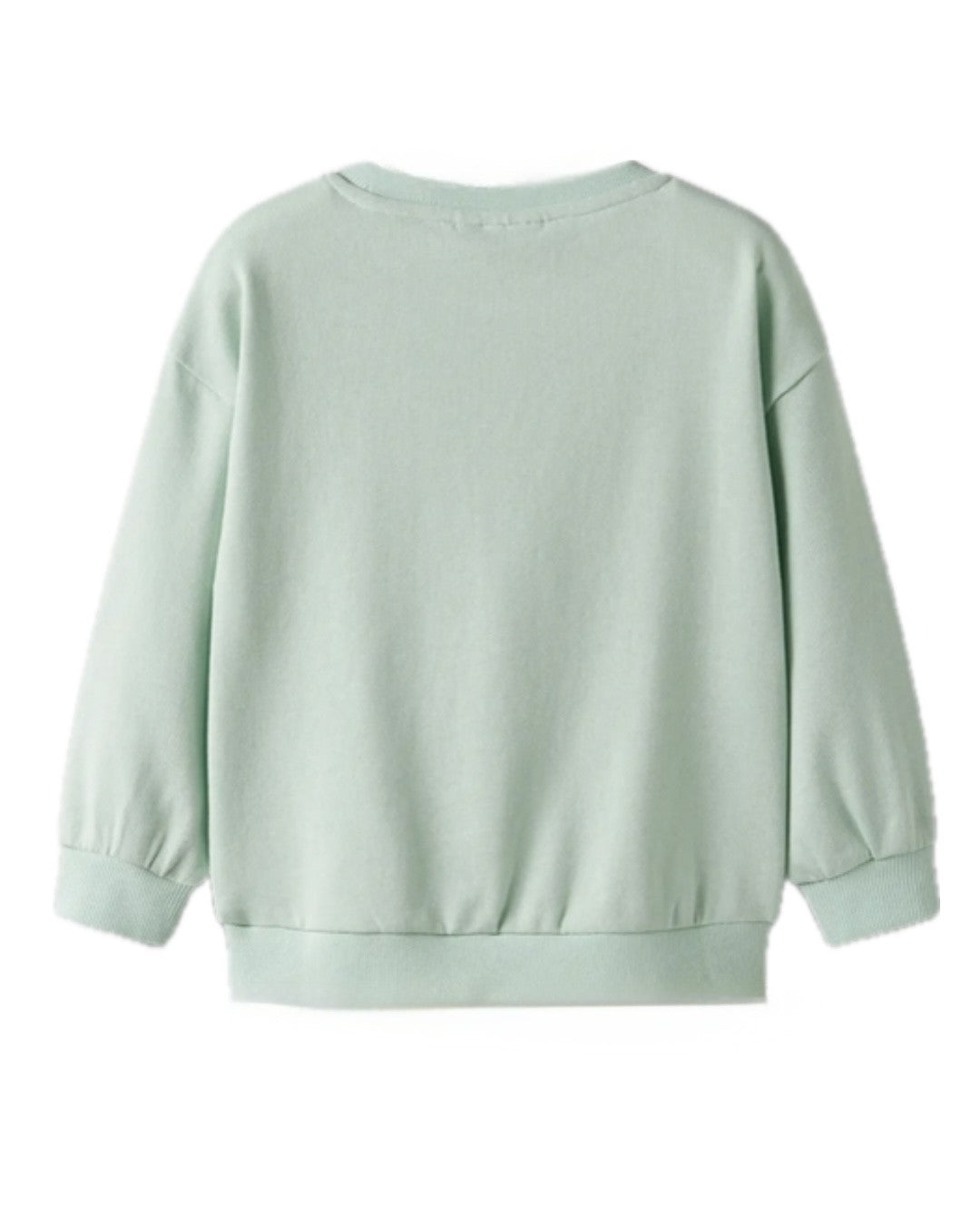 Sweatshirt igelkott